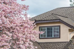 roof in spring Prescott, Arizona