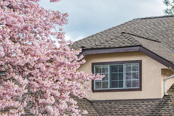 roof in spring Prescott, Arizona